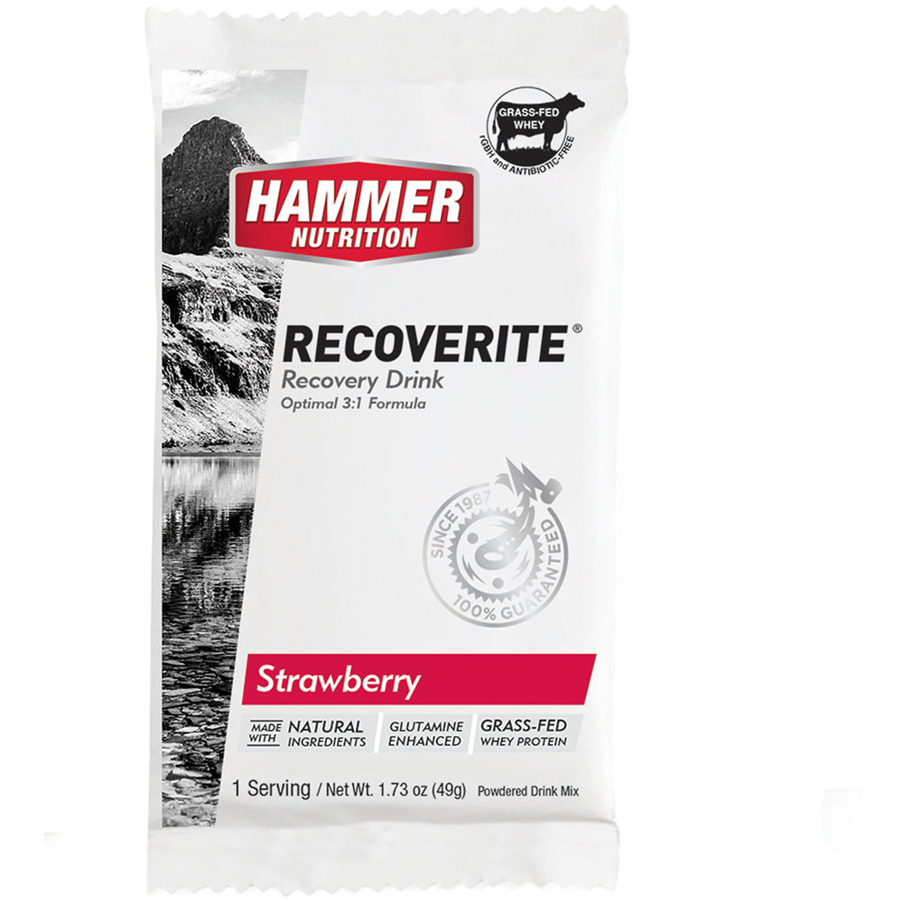 Hammer Nutrition Recoverite Mix