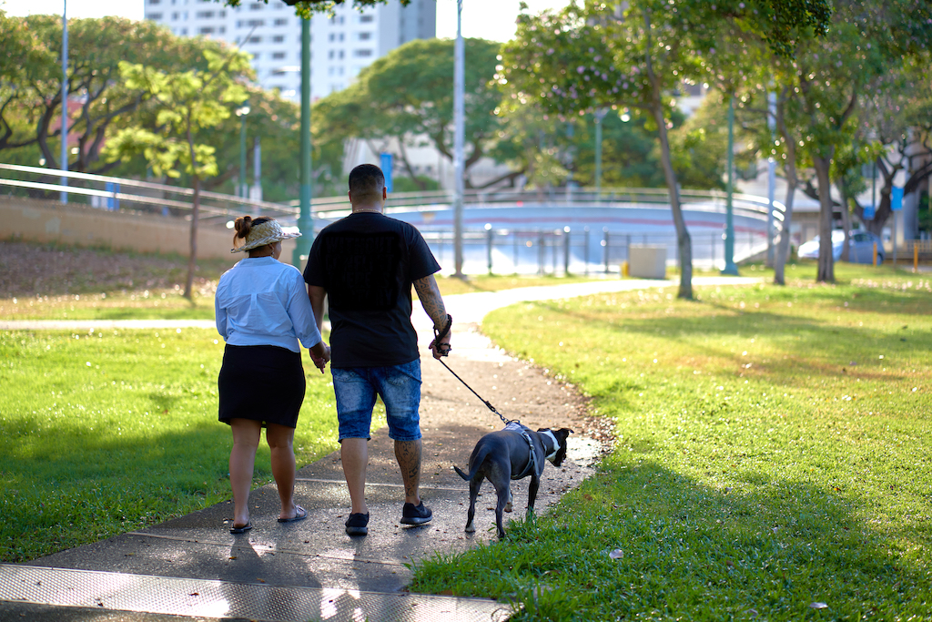 Two people walking dog in a park.