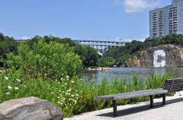 New York City's Muscota Marsh