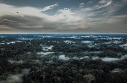 A photo of the Amazon rainforest. The sky is full of clouds and there's mist hanging over green trees.