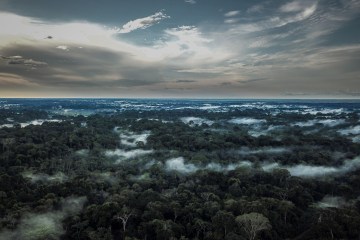 A photo of the Amazon rainforest. The sky is full of clouds and there's mist hanging over green trees.