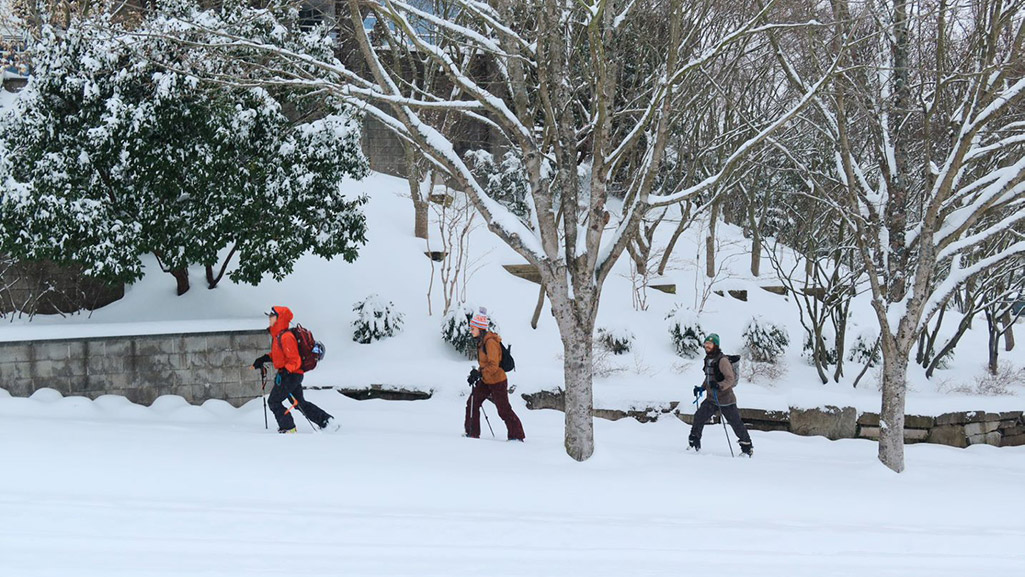 Three people skiing through a neighborhood.