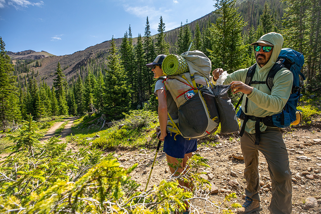 Two backpackers on a trail