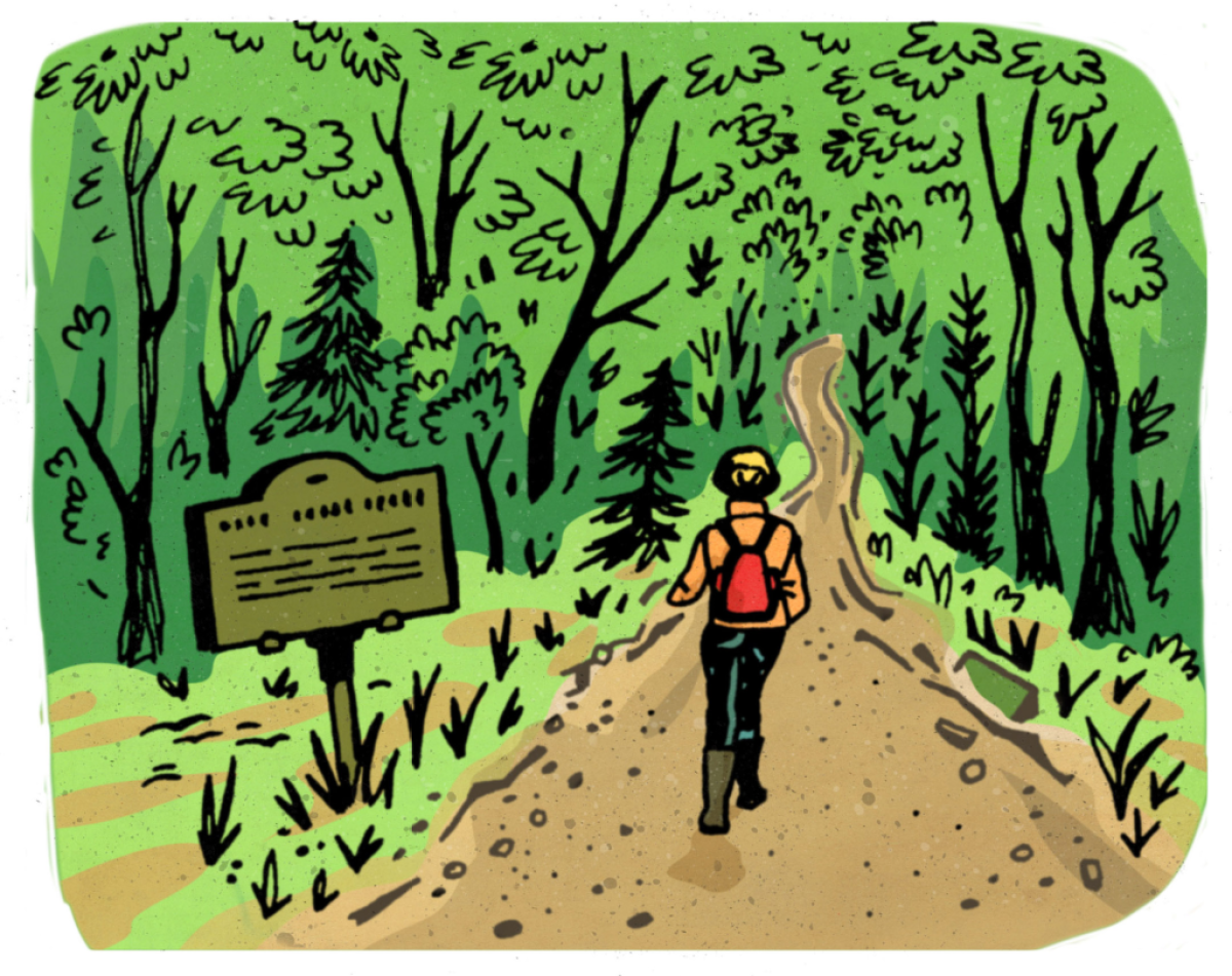 Illustration of person walking on trail into lush greenery