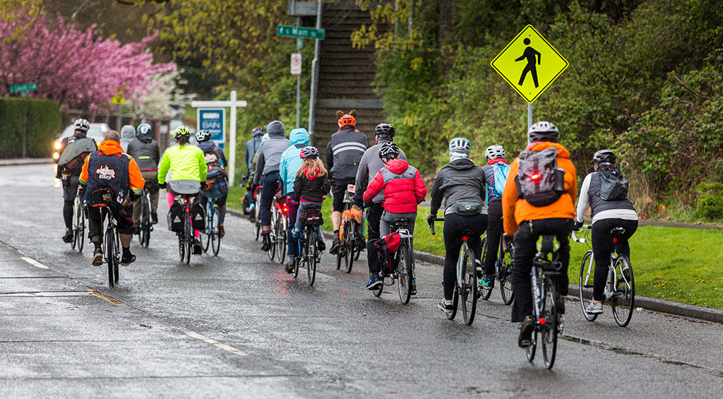 A view of about two dozen cyclists pedaling in the streets as part of a Peace Peloton bike event.