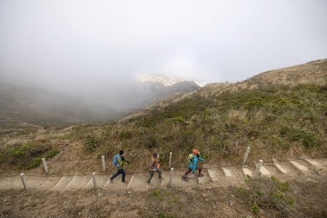 Three people walk up a trail staircase on a foggy day