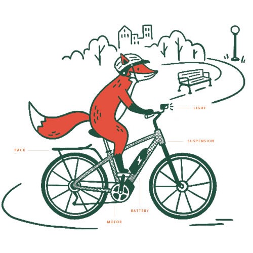 Illustration of fox riding an ebike along a urban path