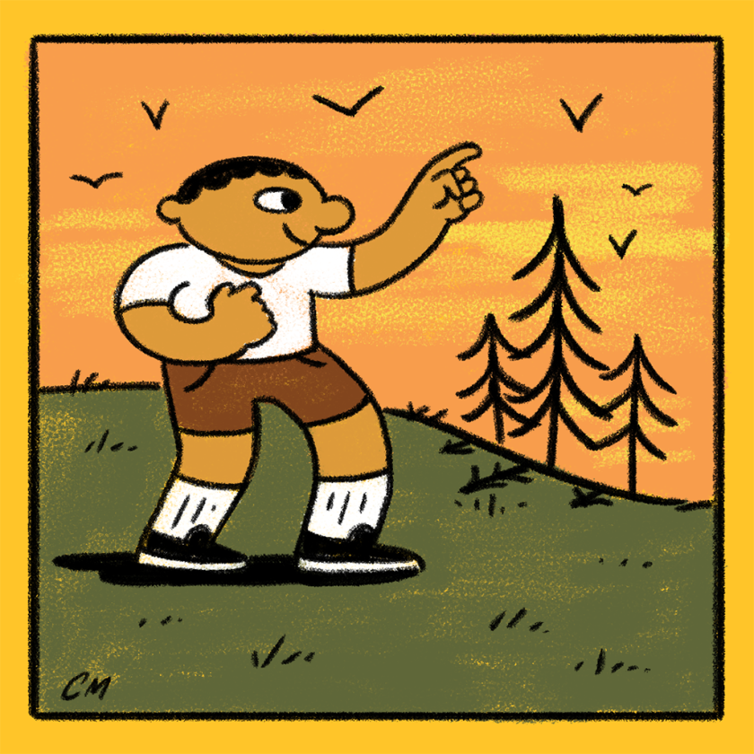 Illustration of a person standing outside, pointing toward some birds in the sky.