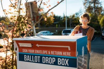 Person dropping ballot in ballot box.