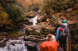 Best Waterfall Hikes Near Asheville