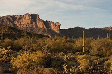 Desert scene outside Phoenix, Arizona
