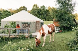 Photo of a horse grazing on some grass outside a yurt.