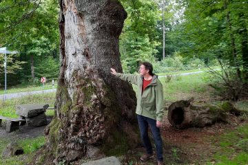 Cecil Konijnendijk next to a big tree