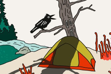 Illustration of a hiker sitting by a tent and a raven in a tree.