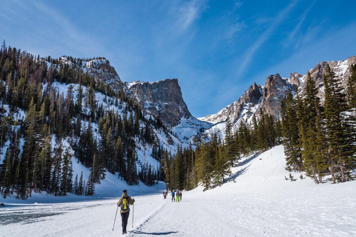 Cross-country skiiers on a snowy trail