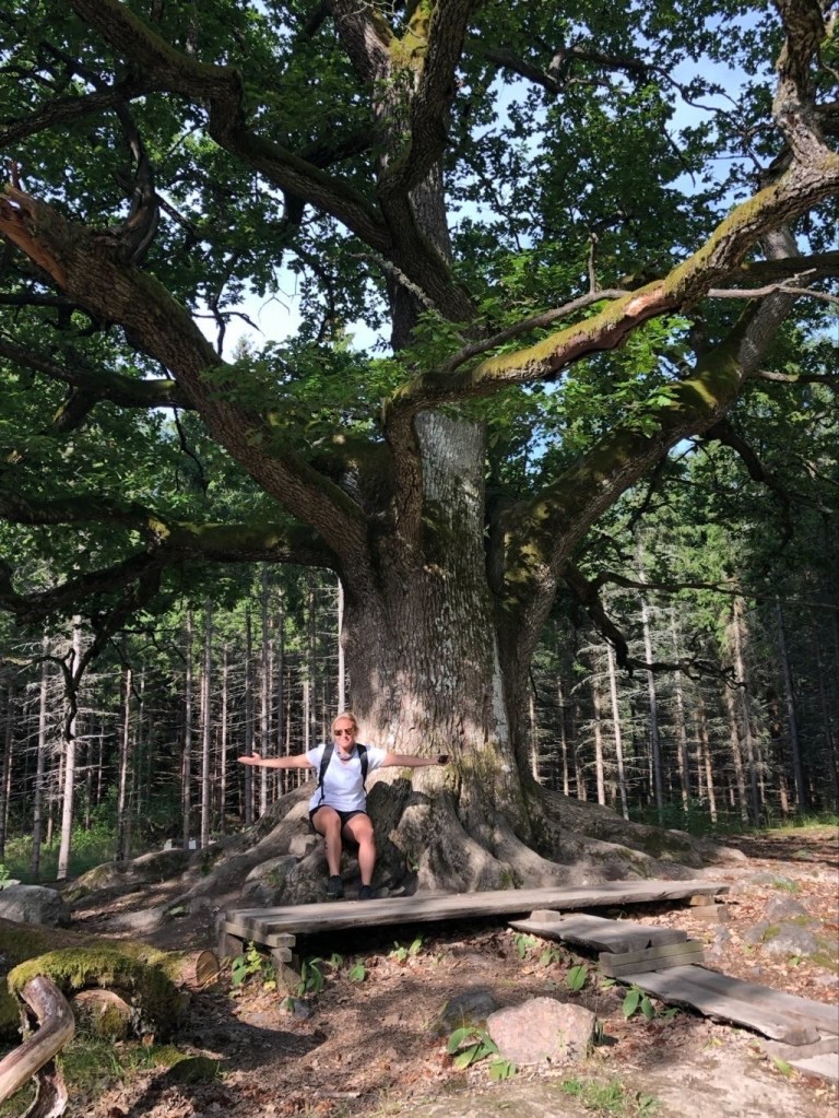 A person of European descent sits under a large tree with their arms outstretched.