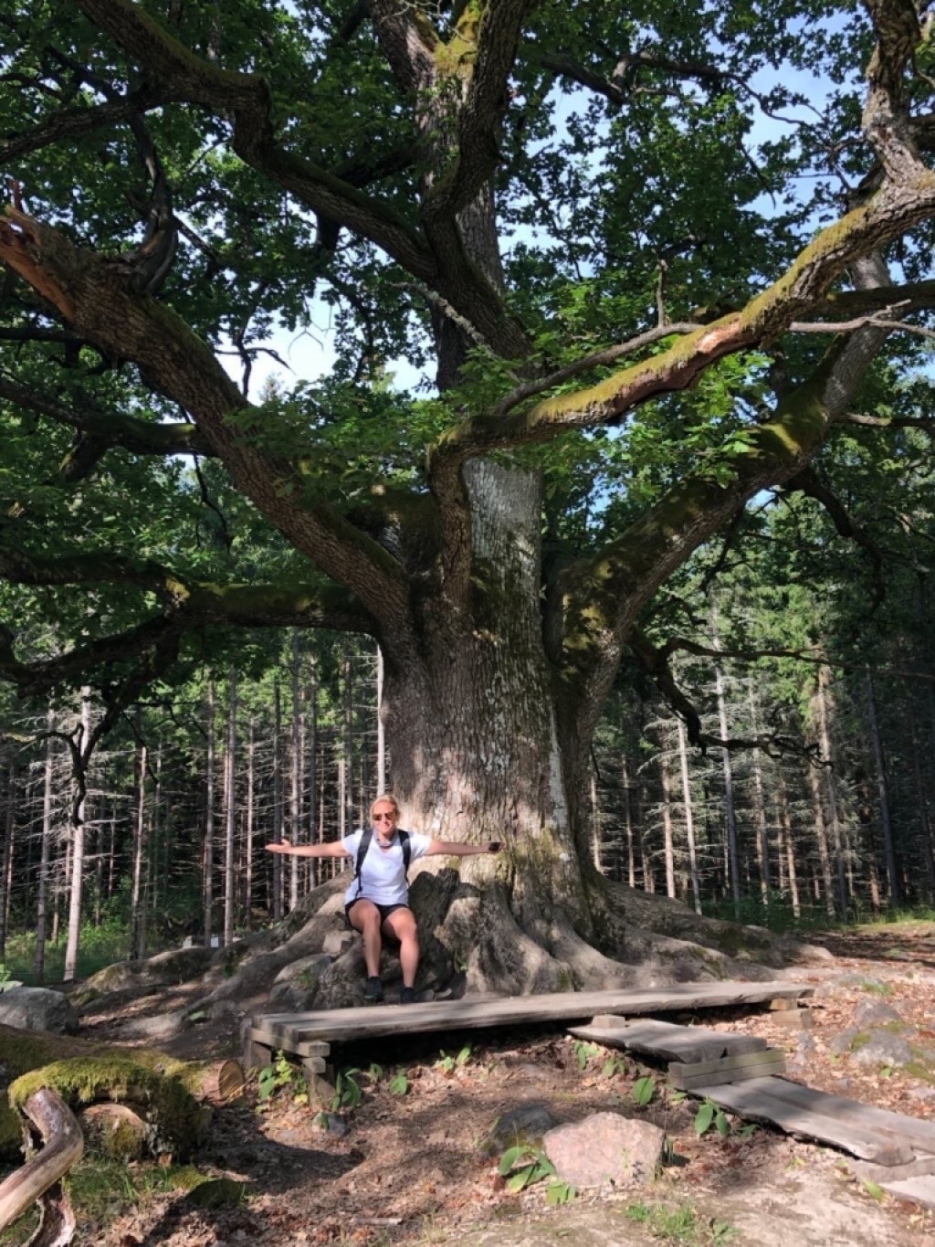 A person of European descent sits under a large tree with their arms outstretched.