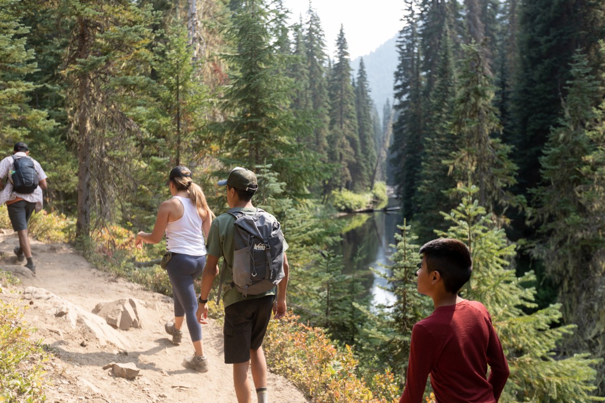 A group of people hike on a trail in a lush evergreen woods near a body of water.