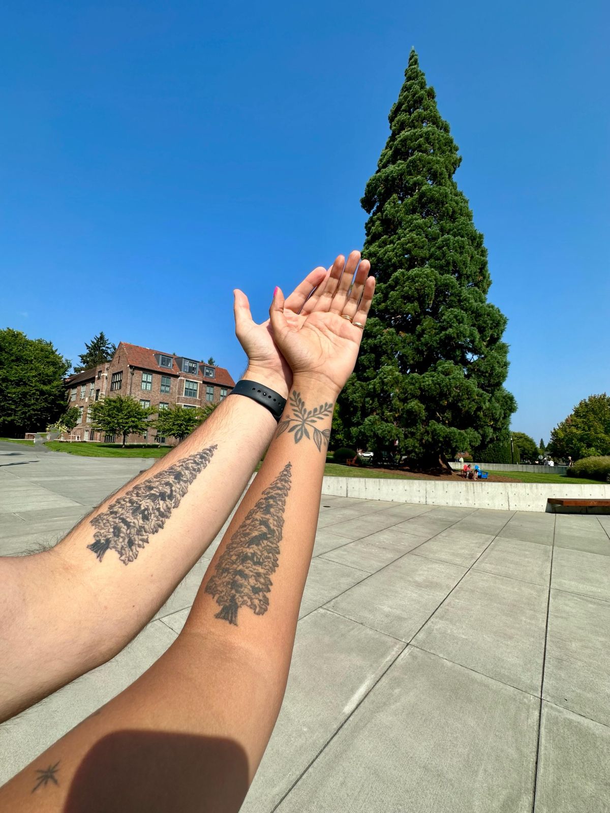 Two people outstretch their arms in front of a large sequoia tree. Their arms have the same tree tattooed on them.