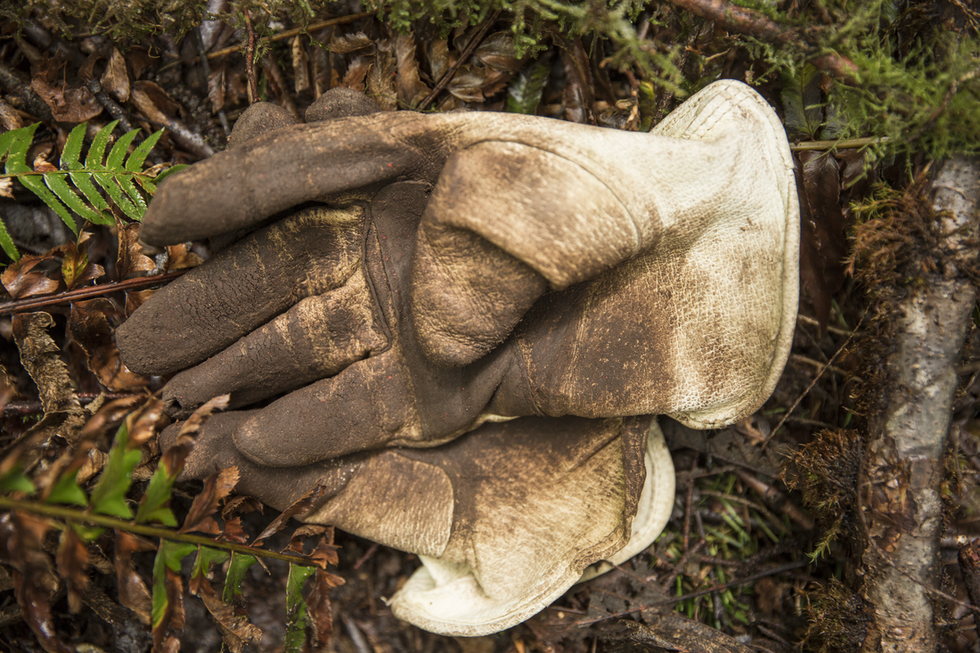 A dirty pair of heavy gloves, used for trail stewardship
