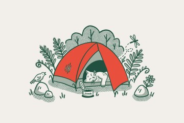 Illustration of a cat camping in a tent.