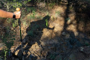 A hiker is seen in shadow, the only visible part of his body is his hand holding a hiking staff.