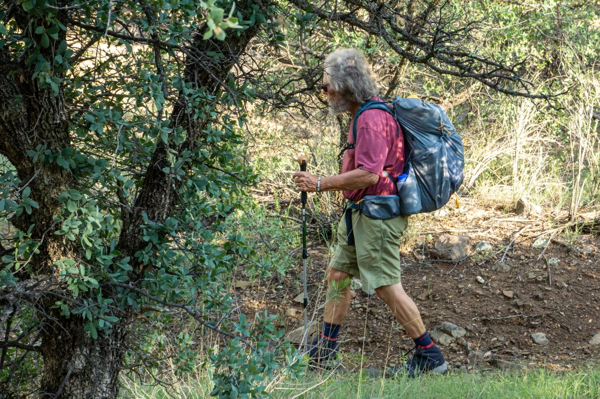 A hiker wearing shorts and a backpack walks down a wooded trail with a hiking staff.