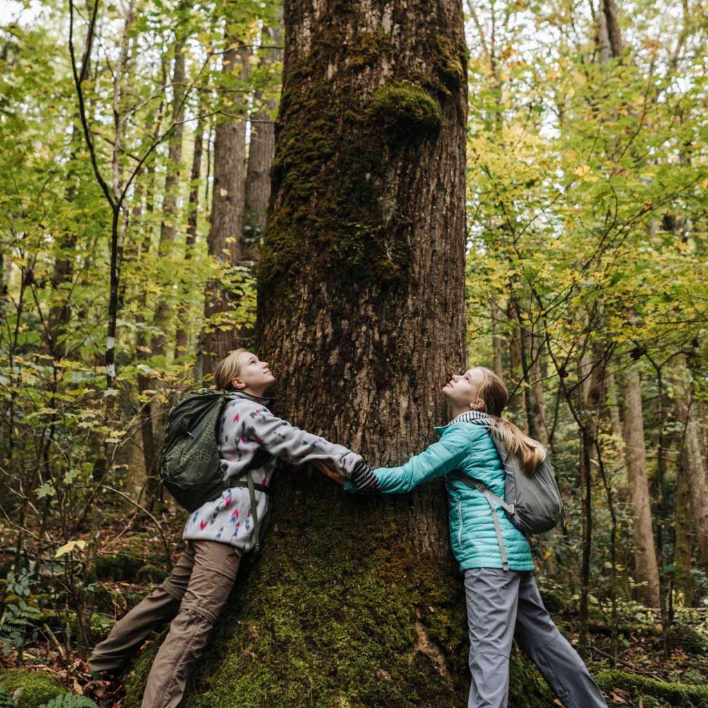 Two young people hug either side of a large-trunked old tree, meeting their hands in the middle.