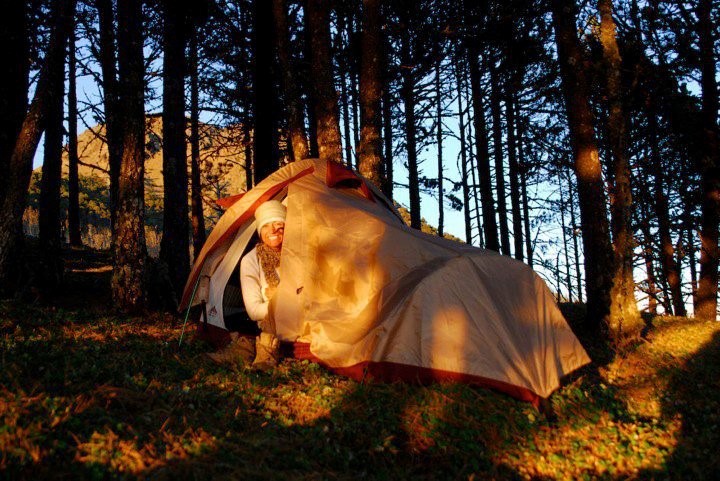 Image of a woman peeking out from inside a tent. 