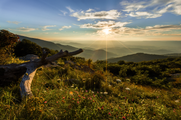 How Veterans Can Visit National Parks for Free