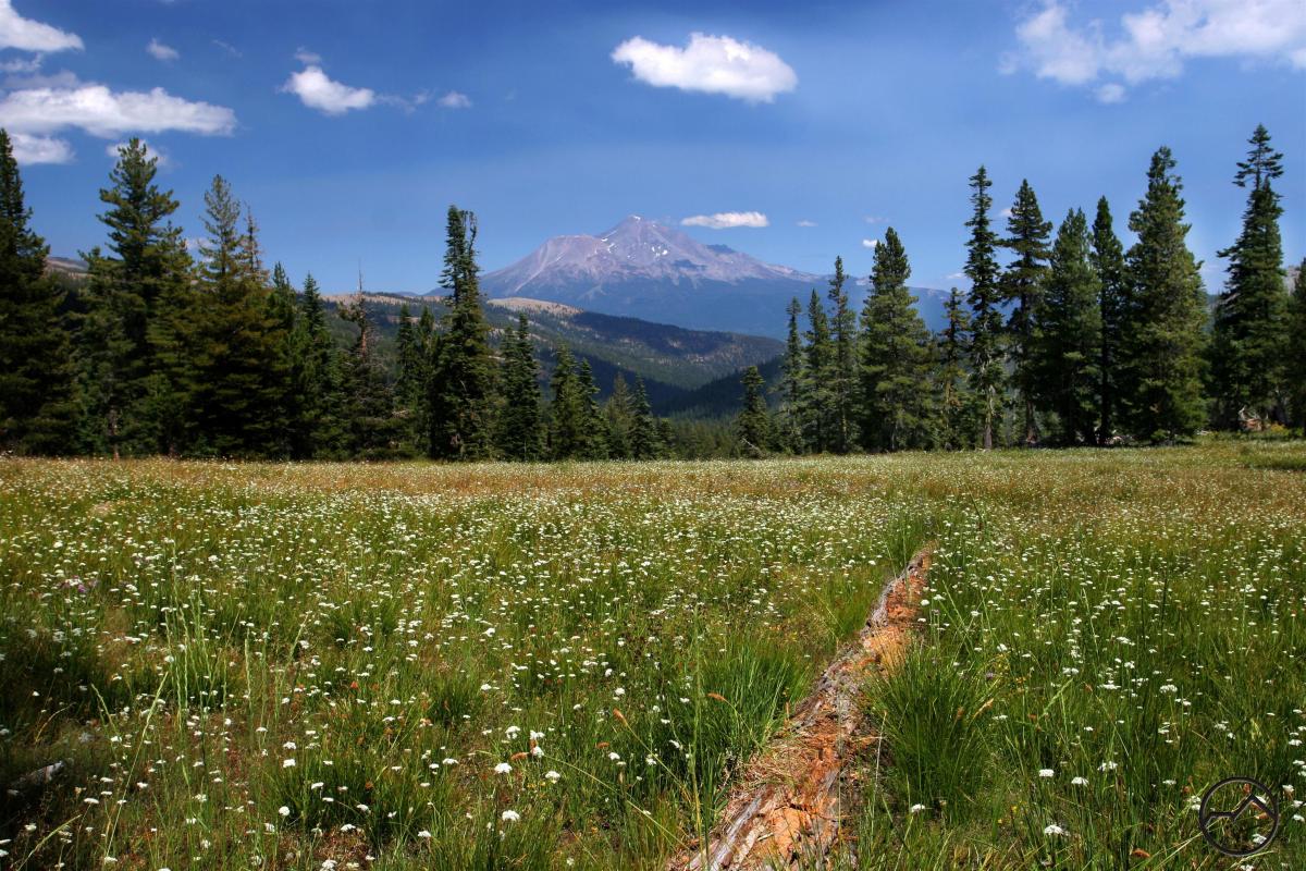Photo of a meadow along a stretch of the Pacific Crest Trail.