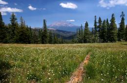 Photo of a meadow along a stretch of the Pacific Crest Trail.