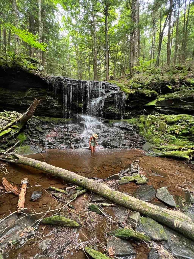 A person stands in front of a waterfall surrounded by forest.