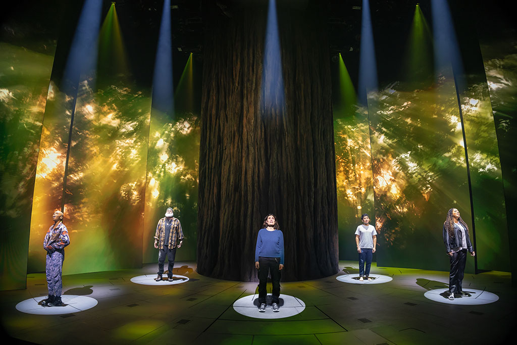 Five people stand in spotlight on a stage around a massive tree trunk.