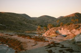 A landscape photo of the shoreline on Catalina Island