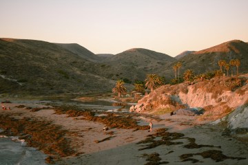 A landscape photo of the shoreline on Catalina Island
