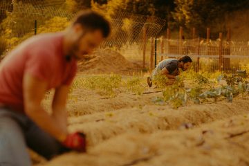 Spencer Scott & Nick Schwanz for Wild Ideas Worth Living