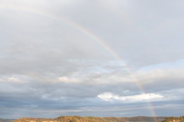 A rainbow over a tree-covered landscape