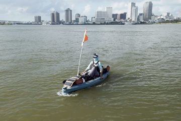 Ann Rose for Wild Ideas Worth Living